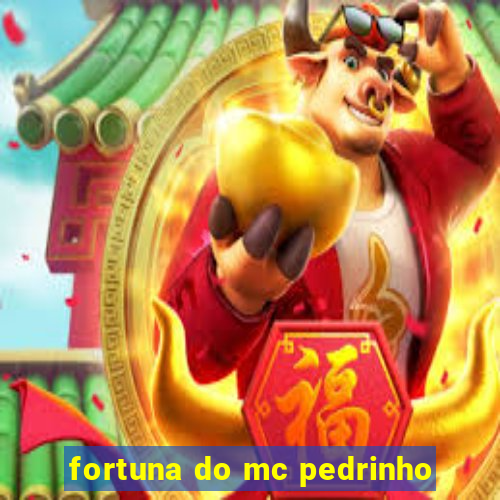 fortuna do mc pedrinho