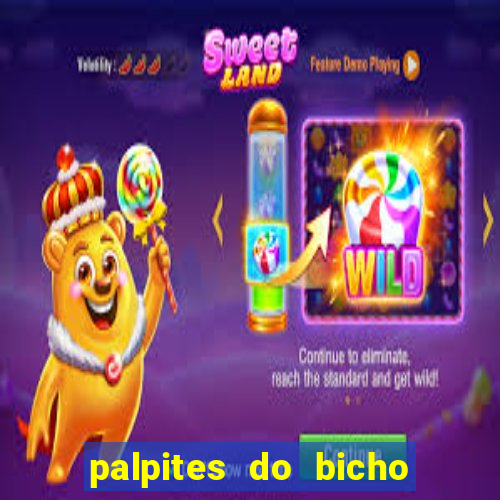 palpites do bicho no celular