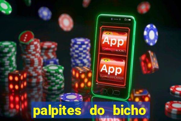 palpites do bicho no celular