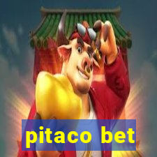 pitaco bet