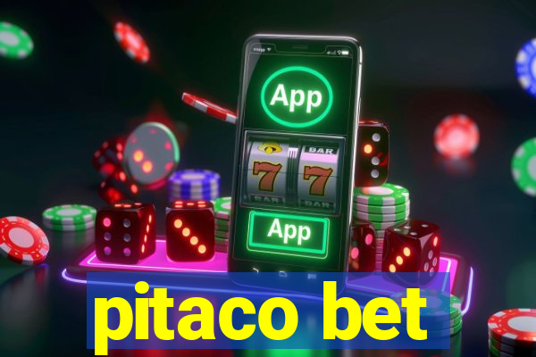 pitaco bet