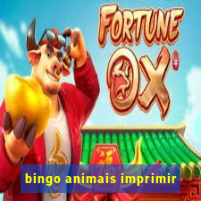 bingo animais imprimir