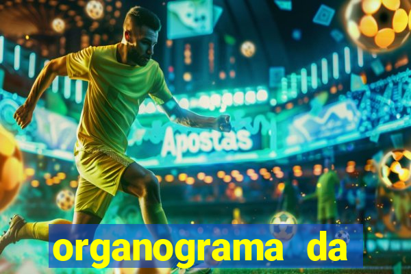 organograma da cacau show