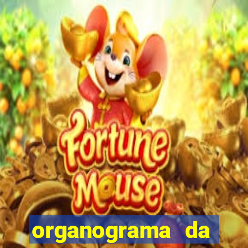 organograma da cacau show