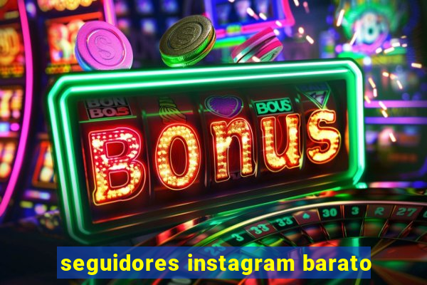 seguidores instagram barato