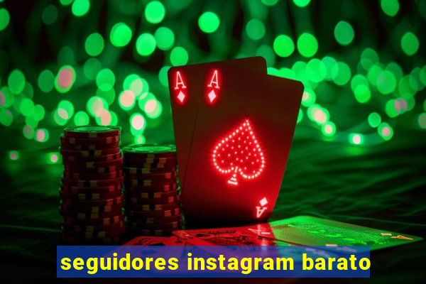 seguidores instagram barato