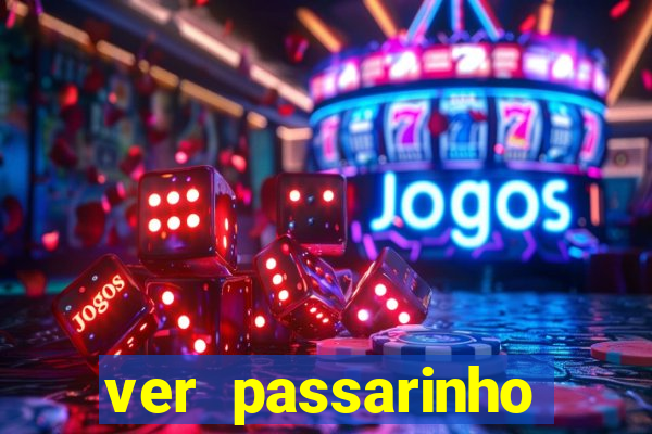 ver passarinho morto significado