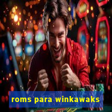 roms para winkawaks