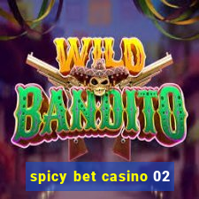 spicy bet casino 02