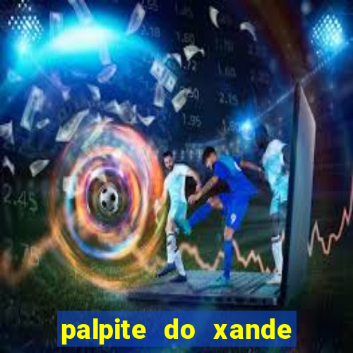 palpite do xande de hoje