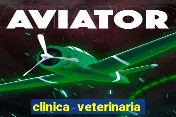 clinica veterinaria cuidar betim