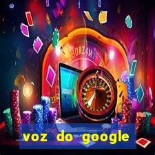 voz do google tradutor homem