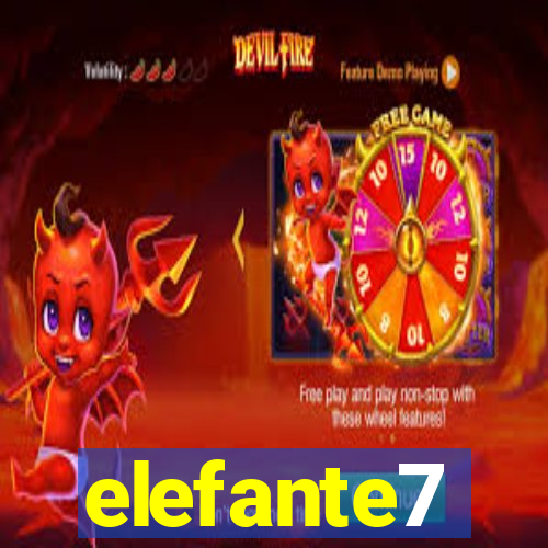 elefante7