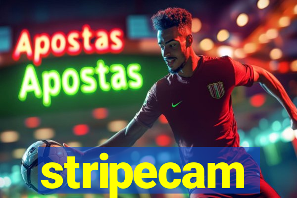 stripecam