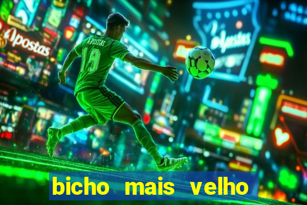 bicho mais velho da loteria dos sonhos