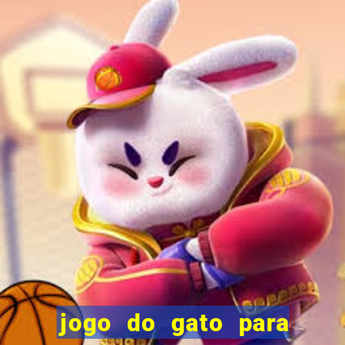 jogo do gato para ganhar dinheiro