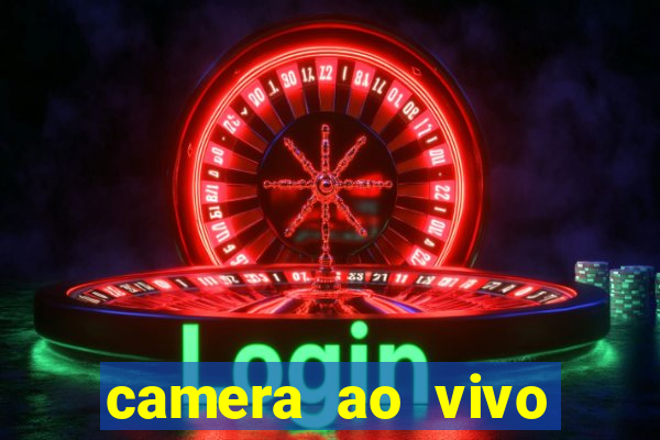 camera ao vivo terminal vila nova cachoeirinha