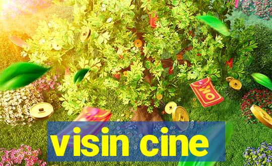 visin cine