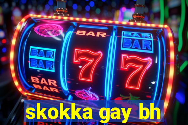 skokka gay bh