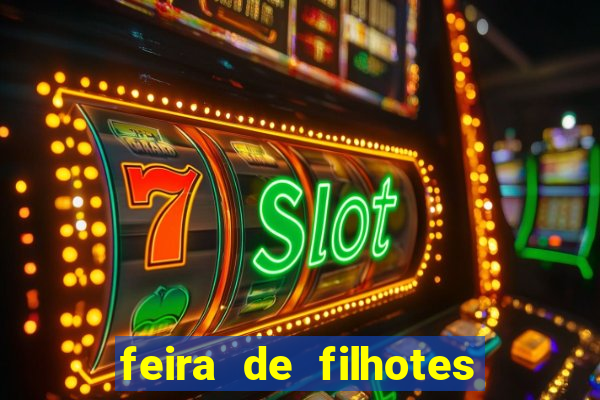 feira de filhotes porto alegre