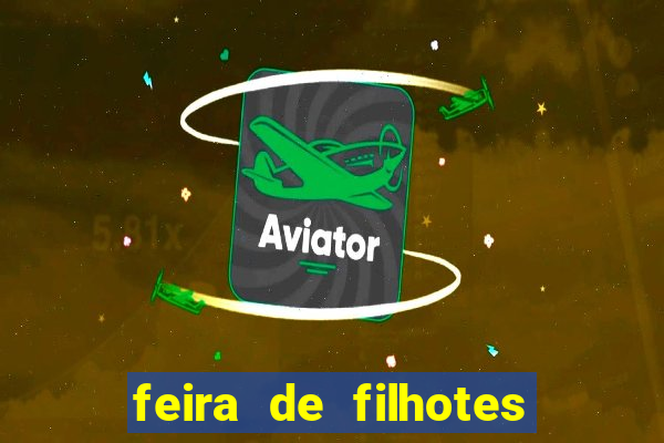 feira de filhotes porto alegre