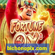 bichonopix.com