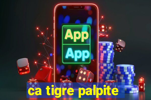 ca tigre palpite