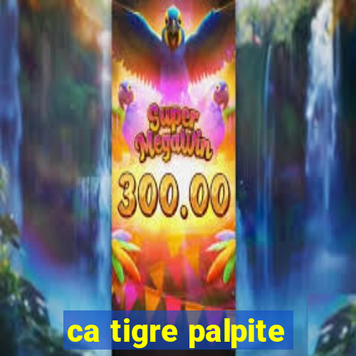 ca tigre palpite