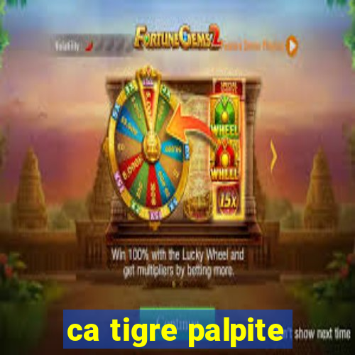 ca tigre palpite