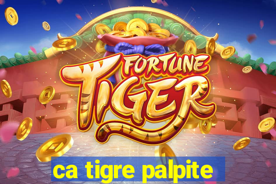 ca tigre palpite