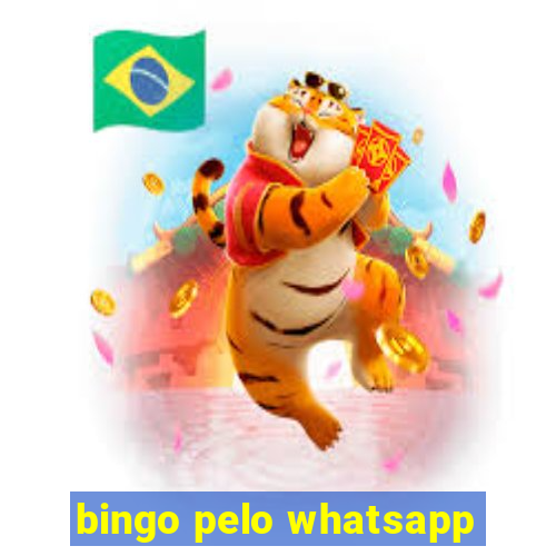 bingo pelo whatsapp