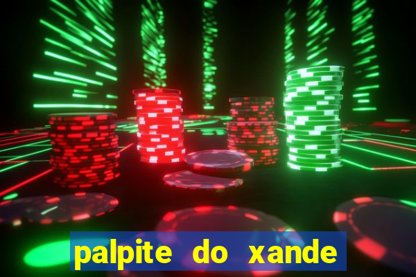 palpite do xande para hoje