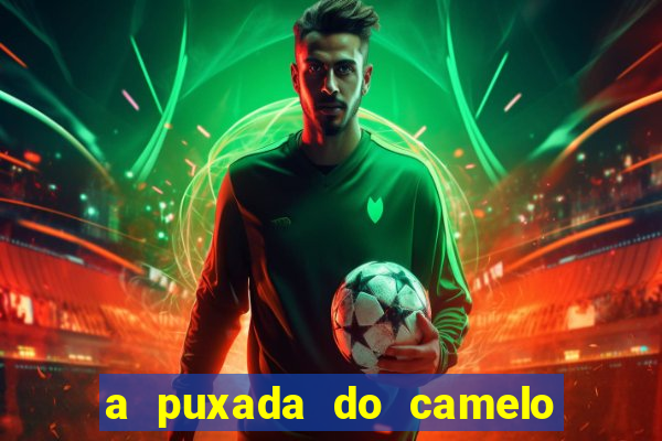 a puxada do camelo no jogo do bicho