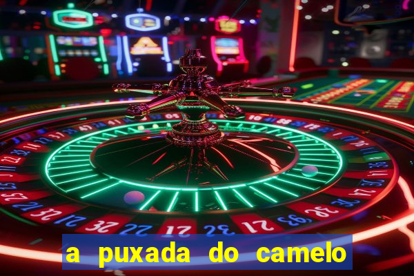 a puxada do camelo no jogo do bicho