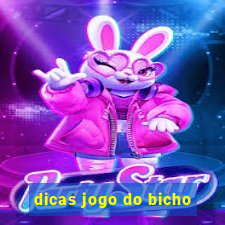 dicas jogo do bicho