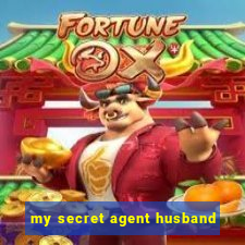 my secret agent husband