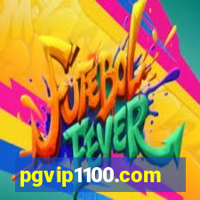 pgvip1100.com