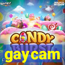 gaycam