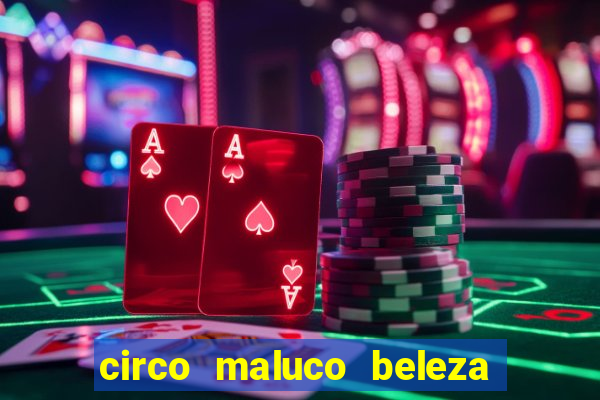 circo maluco beleza recife circo maluco