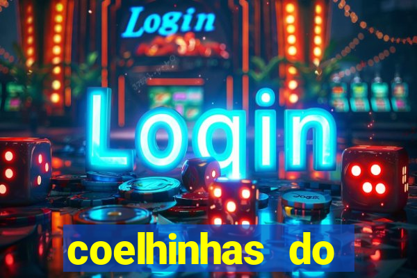 coelhinhas do brasil recife