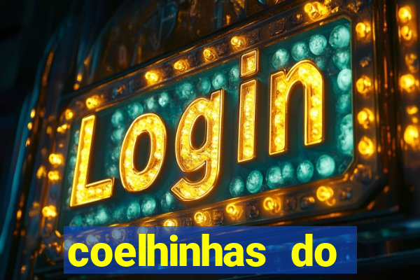 coelhinhas do brasil recife