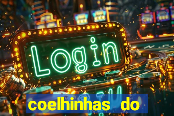 coelhinhas do brasil recife