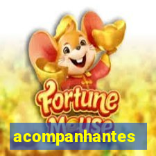 acompanhantes masculinos poa