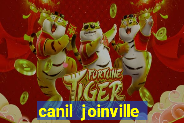 canil joinville vila nova