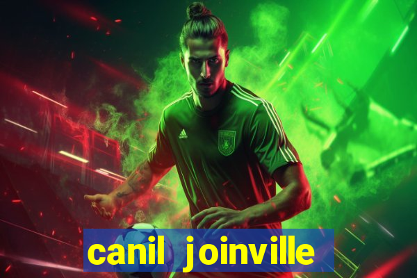 canil joinville vila nova