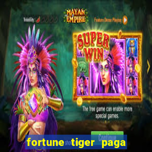 fortune tiger paga de madrugada