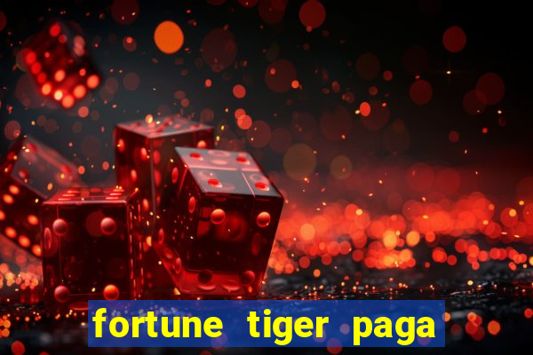 fortune tiger paga de madrugada