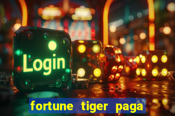 fortune tiger paga de madrugada