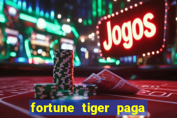 fortune tiger paga de madrugada