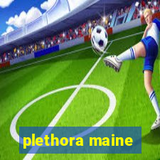 plethora maine